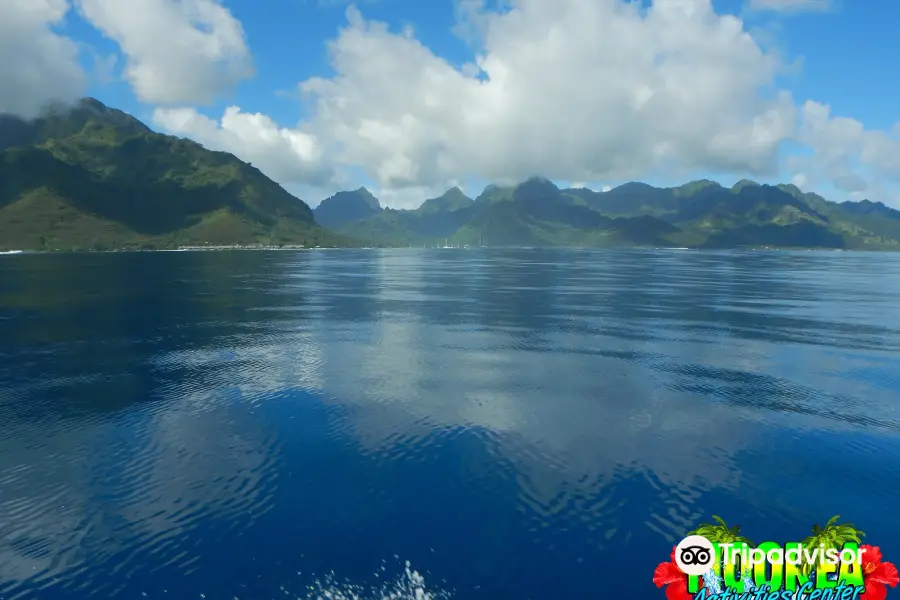 Moorea Activities Center - Opunohu