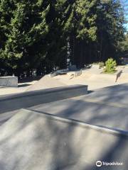 Queenstown Skate Park