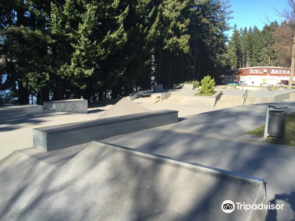 2_Queenstown Skate Park