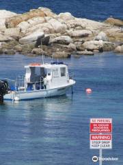 Bicheno's Glass Bottom Boat