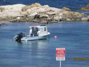 Bicheno's Glass Bottom Boat