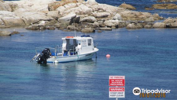 Bicheno's Glass Bottom Boat
