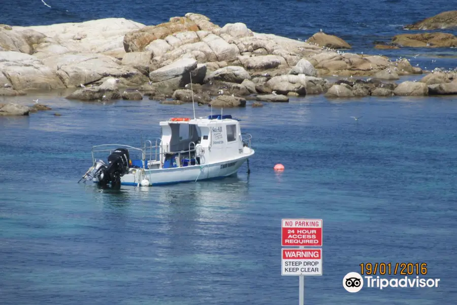 Bicheno's Glass Bottom Boat