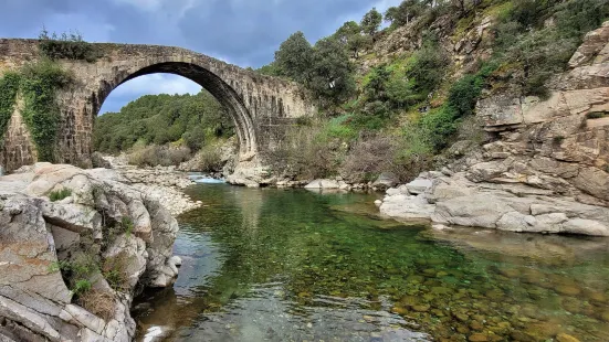 Charco el Negro