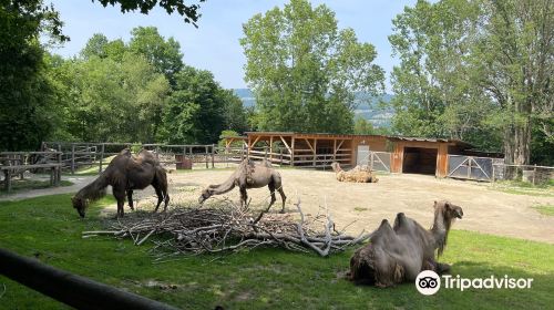 Herberstein Zoo