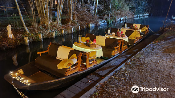 Boat trips in the Spreewald
