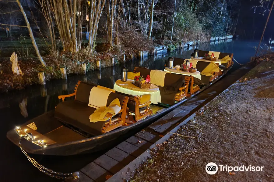 Boat trips in the Spreewald