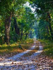 Parque nacional de Gorumara