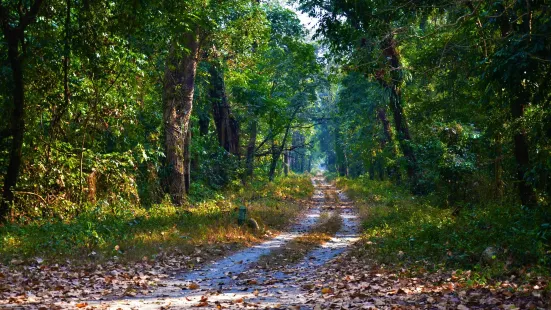 Gorumara National Park