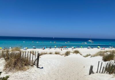 Plage de Saleccia