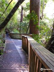 A. H. Reed Memorial Kauri Park