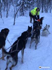 Husky Farm Ulybka Alyaski