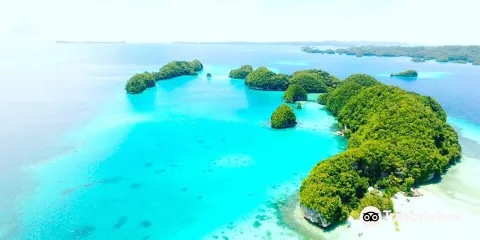 Oasis Palau