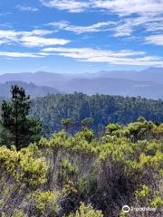 Jacks Peak County Park