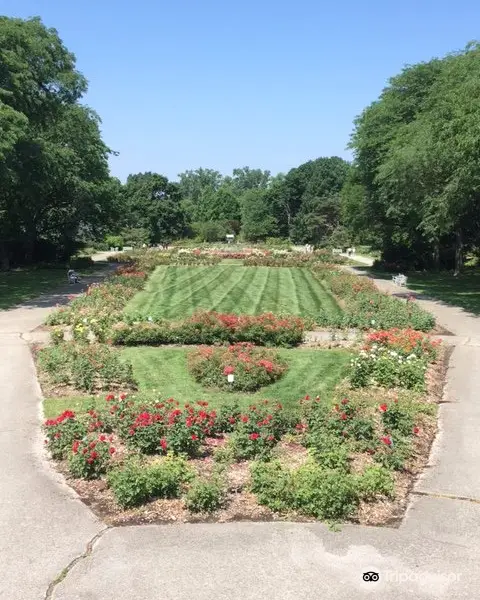 Columbus Park of Roses