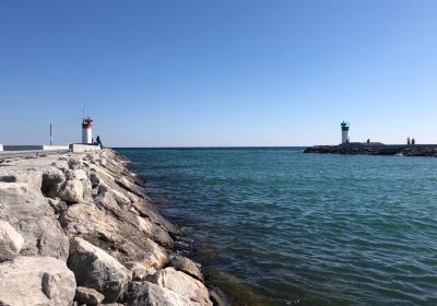 Frenchman's Bay Marina