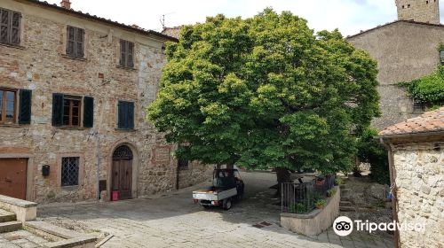 Chiesa di San Martino Vescovo