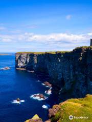 Marwick Head RSPB Nature Reserve