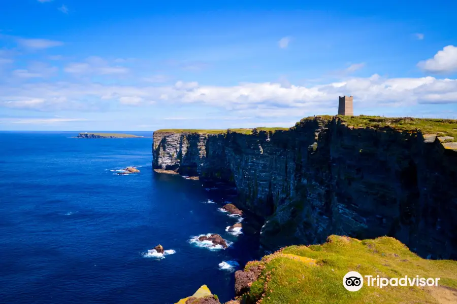 Marwick Head RSPB Nature Reserve