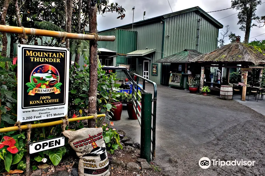 Mountain Thunder Coffee Plantation