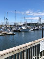 Charleston Marina