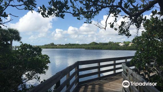 Indian Rocks Beach Nature Preserve