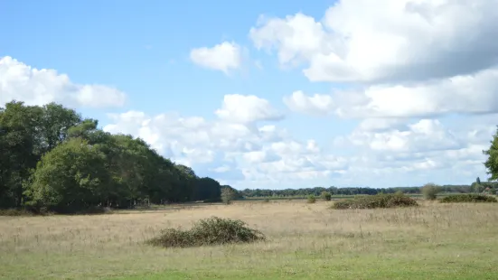 Natuurcentrum De Maashorst