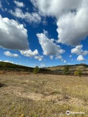 Hustai National Park