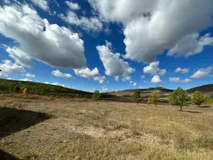 Hustai National Park