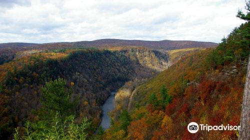 Pine Creek Gorge