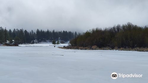 Stanfield Marsh Wildlife and Waterfowl Preserve