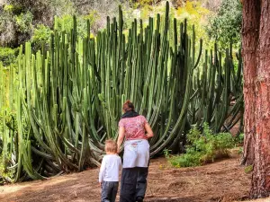 Jardin Botanico Viera & Clavijo