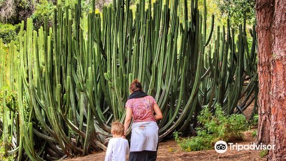 Jardin Botanico Viera & Clavijo
