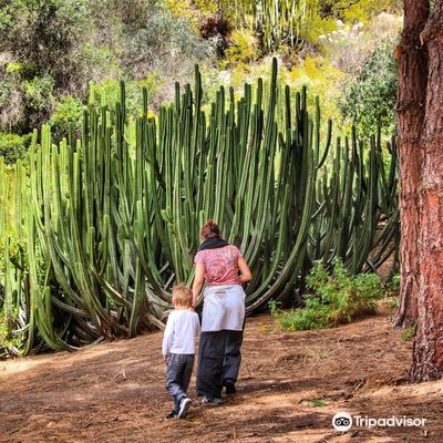 Jardin Botanico Viera & Clavijo