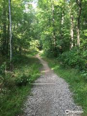 ボールド・マウンテン州立保養地