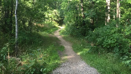 ボールド・マウンテン州立保養地