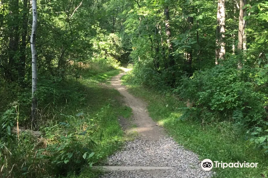 Bald Mountain State Recreation Area