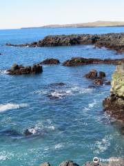 Brimketill lava rock pool