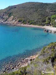 Spiaggia di Fonza