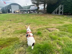 Dumfries & Galloway Aviation Museum