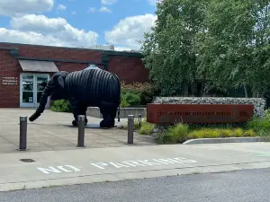 The Elephant Sanctuary in Tennessee — Elephant Discovery Center