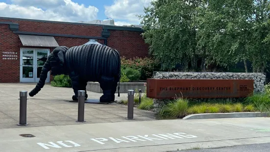 The Elephant Sanctuary in Tennessee — Elephant Discovery Center