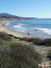 Carpinteria City Beach