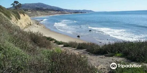 Carpinteria State Beach