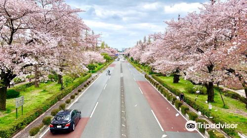 Daigakudori Street