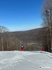 Bristol Mountain Ski Resort