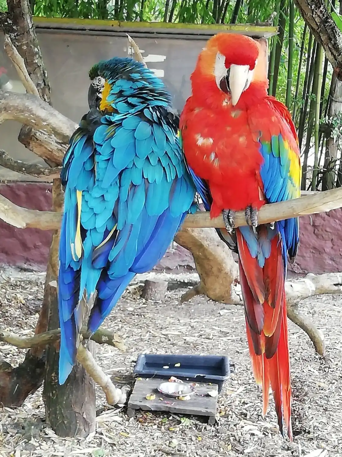 Zoo de Bordeaux Pessac附近的飯店
