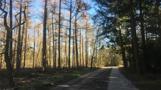 Landal Landgoed De Hellendoornse Berg