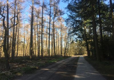 Landal Landgoed De Hellendoornse Berg