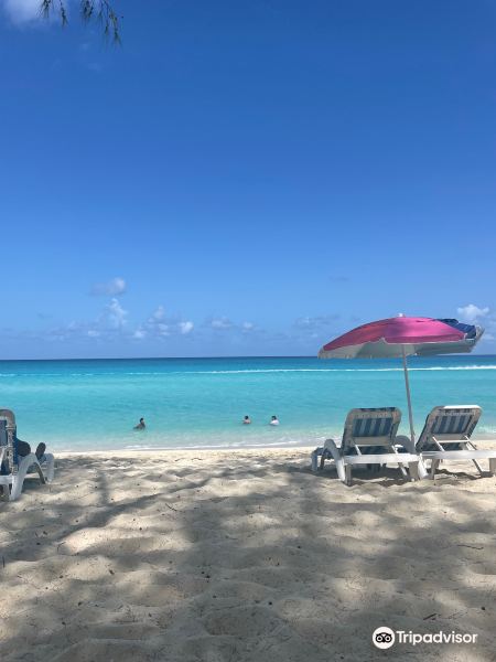 Voli Venezia Bimini